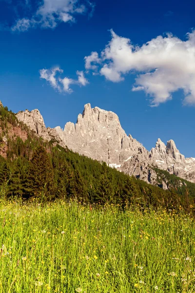 Il gruppo Pale di San Martino — Foto Stock