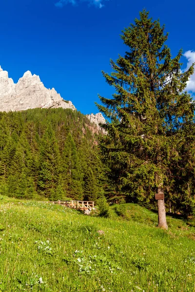 Группа The Pale of San Martino — стоковое фото