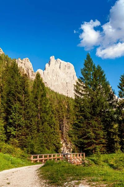 Группа The Pale of San Martino — стоковое фото