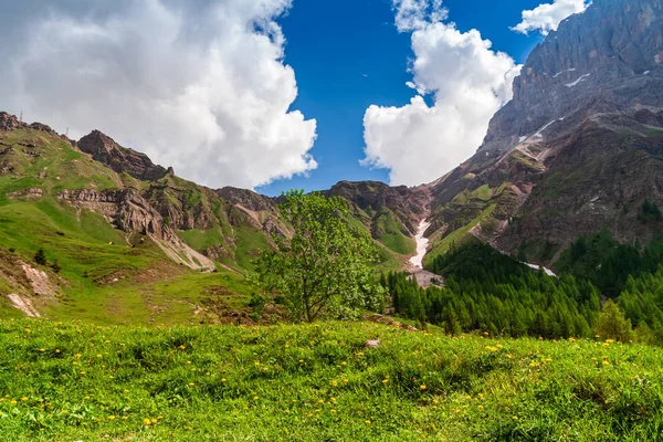 Passo Rolle, Dolomitas, Italia — Foto de Stock