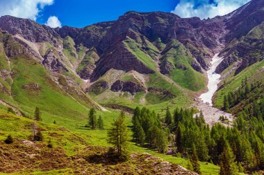 Passo Rolle, Dolomites, İtalya