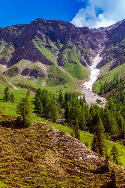 Passo Rolle, Dolomitas, Italia —  Fotos de Stock