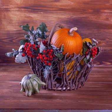 Sonbahar balkabağıyla hayat dolu