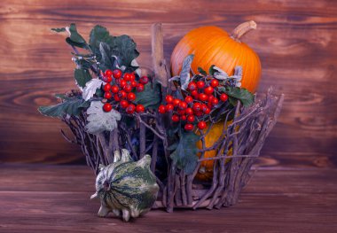 Sonbahar balkabağıyla hayat dolu