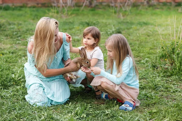 Mother and two daughters playing with a rabbit in the spring garden. — Stock Photo, Image