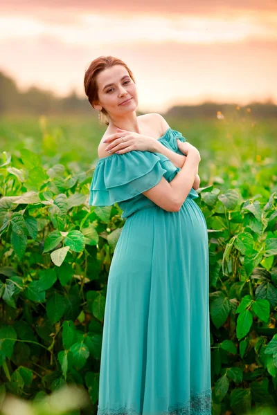 Carino ragazza incinta in un abito verde è in piedi in un campo al tramonto — Foto Stock