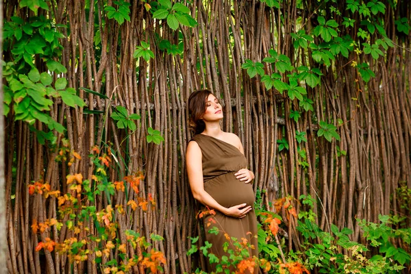 Junge schwangere Frau in braunem Kleid steht im Herbstpark und hält Schwangerschaftsbauch. — Stockfoto