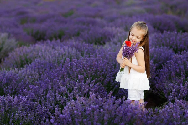 Lavanta alan holding mor çiçekler Buket mutlu sevimli küçük kız.