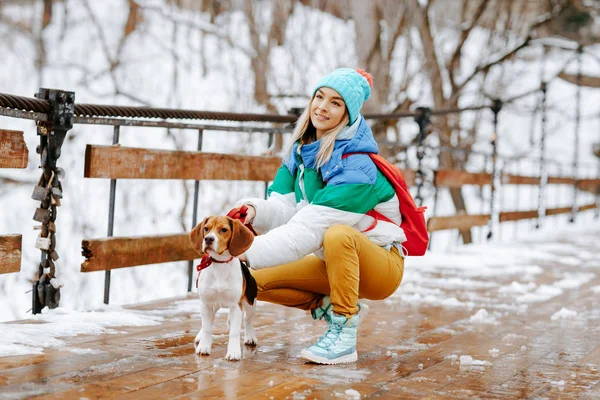 Sıcak şık giysiler ve onu beagle köpek kış parktaki köprüde ile poz moduna neşeli genç kadın portresi. Dostluk, evde beslenen hayvan ve insan.