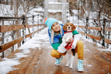 Sıcak şık giysiler ve onu beagle köpek kış parktaki köprüde ile poz moduna neşeli genç kadın portresi. Dostluk, evde beslenen hayvan ve insan.