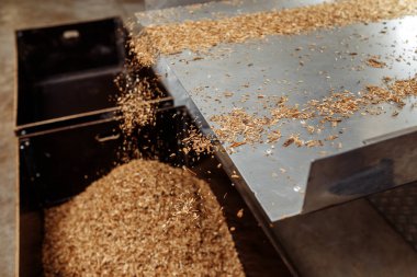 Sigara endüstrisi için tobbacco fabrikasında sürecin fotoğrafı.