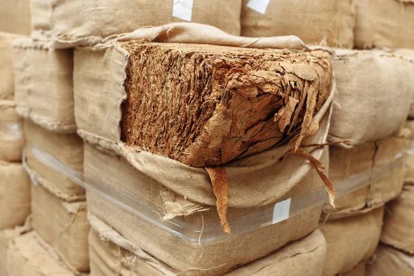 Sigara endüstrisi için bez çuval kurutulmuş tütün yaprakları Fotoğrafı.