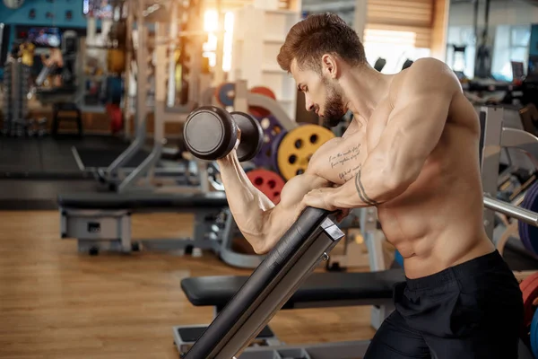 Jóképű izmos sportos fiatalember testépítő fitness modell gyakorlat bicepsz súlyzóval a padon a tornateremben. — Stock Fotó