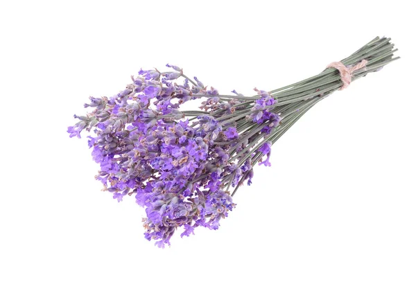 Kvist Lavendel Isolerad Vit Bakgrund — Stockfoto