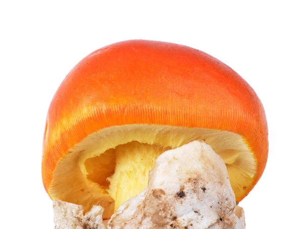 Fungo Cesare Cesarea Amanita Uno Sfondo Bianco Isolato Delicatezza — Foto Stock