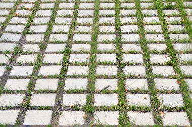 Yeşil çim kaldırım boyunca çimlenme ile gri taş kaldırım döşemesi. Kentsel arka plan, doku. 