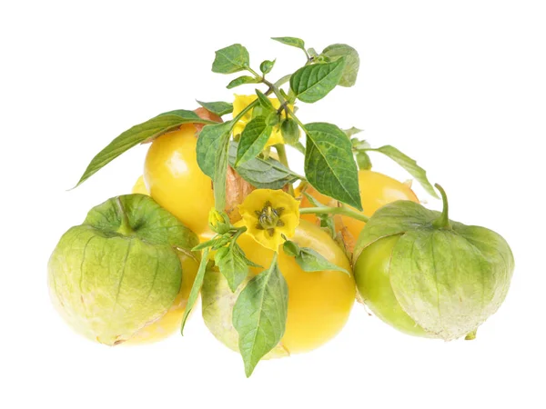 Eine Gruppe Frisch Geernteter Tomatillos Grüne Blätter Mit Einer Schale — Stockfoto