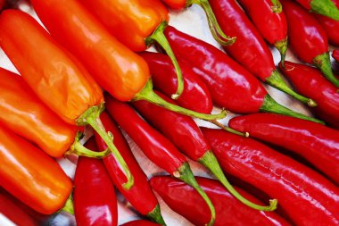 Kırmızı, turuncu biber değil. Güneş ışığı. Seçici odak.