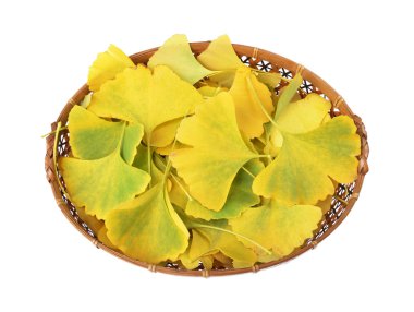 Beyaz arka plan üzerinde izole bir sepete Ginkgo biloba yaprakları 