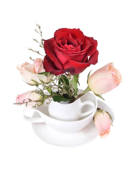 Beautiful Red White Roses Isolated White Background — Stock Photo, Image