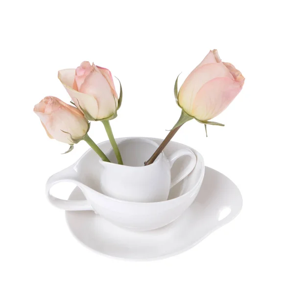 Three Beautiful Roses Isolated White Background — Stock Photo, Image
