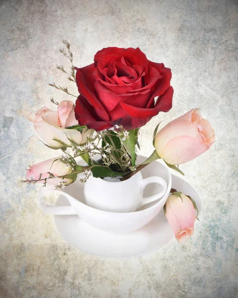 Krásné Červené Bílé Růže Textura Pozadí — Stock fotografie