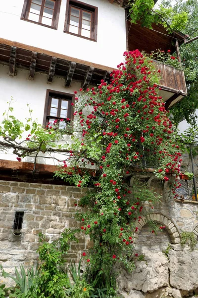 保加利亚 Veliko Tarnovo 2019年5月19日 保加利亚维利科塔尔诺沃市古尔科将军街的传统保加利亚房屋 — 图库照片