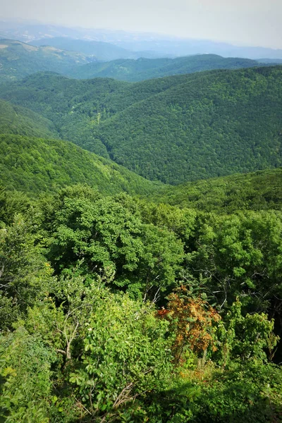 Beautiful Green Mountain Landscape Trees Region Balkan Mountains Bulgaria — стоковое фото