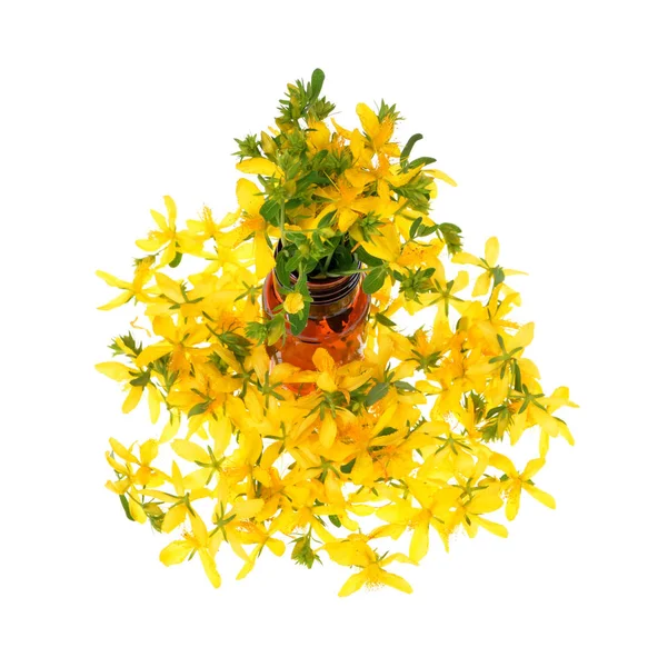 John Wort Isolated Background — Stock Photo, Image