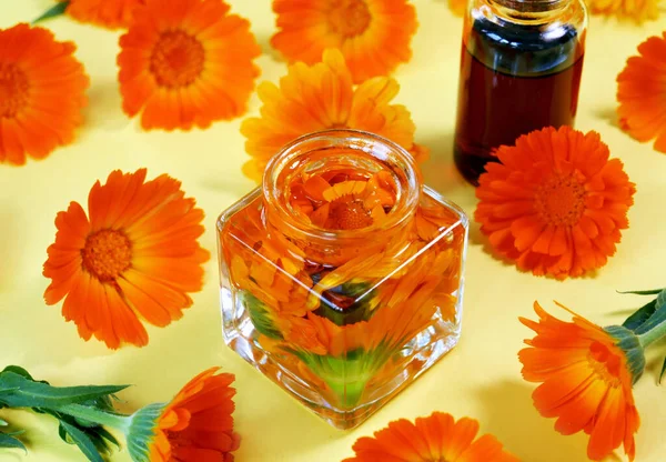 Fles Met Goudsbloem Olie Met Goudsbloem Gele Achtergrond Calendula Bloem — Stockfoto