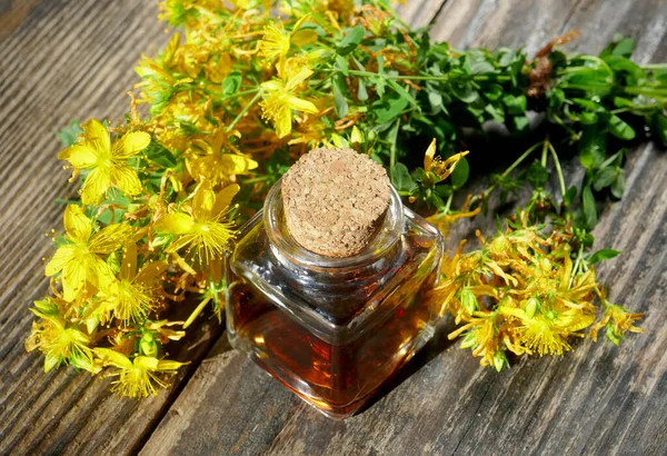 Flasche Mit Johanniskrautextrakt Auf Dem Holztisch — Stockfoto