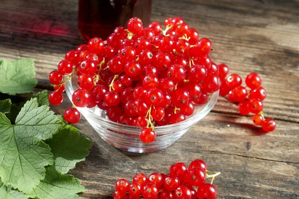 Fresh red currants in bowl ,syrup in a glass bottle on table close up