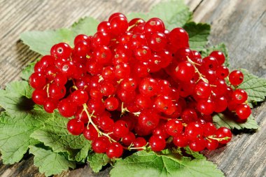 Masada taze üzümler var. Yakın plan.