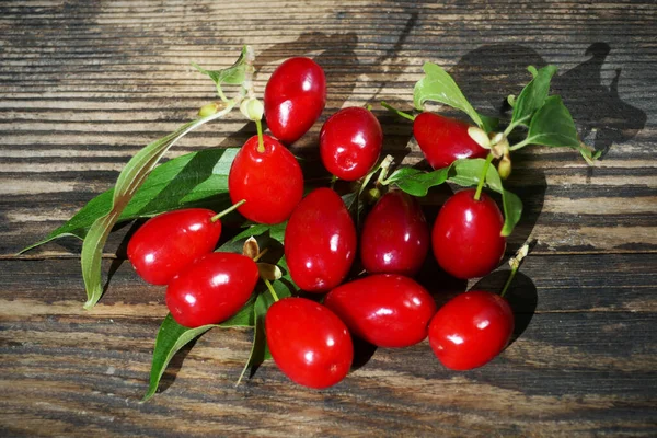 Bacche Rosse Corniolo Corniolo Con Foglia Fondo Legno Scuro — Foto Stock