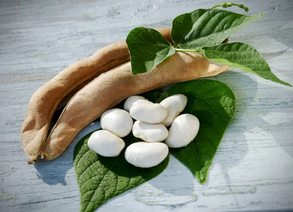 White Beans Pods Green Leaves Wood — Stock Photo, Image