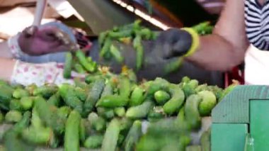 Yerli salatalığın üzerinde işleme hattı / üretim hat kalibrasyon ve salatalık işlenmesi için