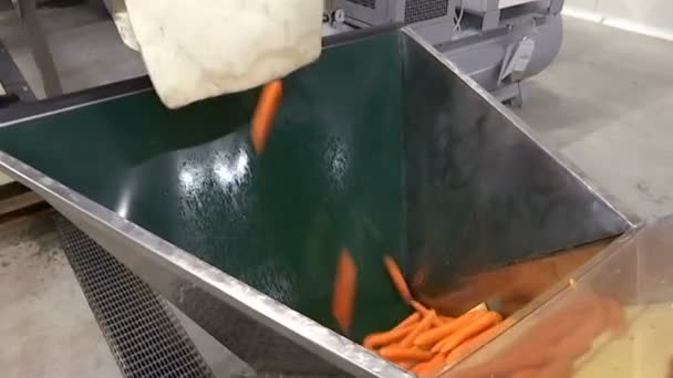 Karottenverarbeitungsmaschine Moderne Anlage Zur Karottenverarbeitung Gemüseverarbeitungsfabrik — Stockvideo