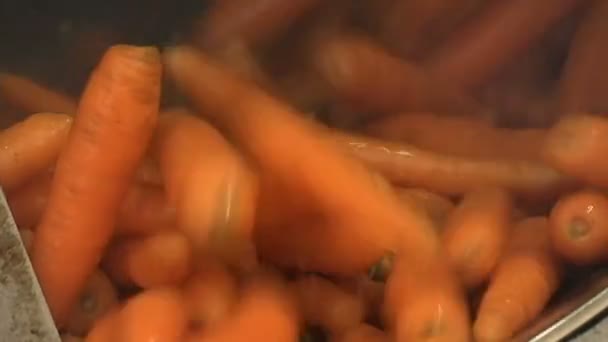 有机蔬菜胡萝卜 胡萝卜加工的现代植物 蔬菜加工厂 — 图库视频影像