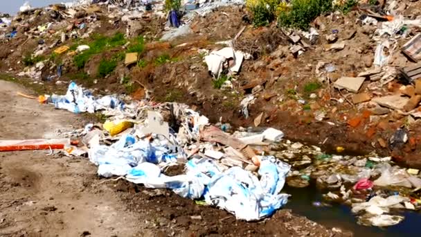 Zrenjanin Serbia 2019 Disposal Garbage City Landfill People Who Rummage — стоковое видео