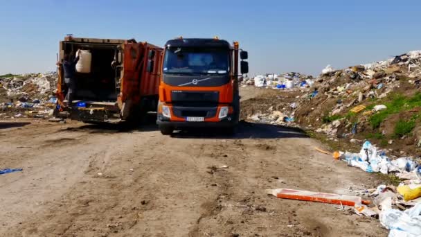 Zrenjanin Serbia 2019 Disposal Garbage City Landfill People Who Rummage — стоковое видео