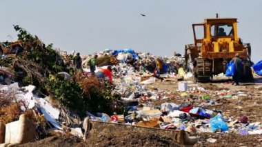 Zrenjanin; Sırbistan; 30.06.2019.Şehir çöpsahasında ki çöplerin bertaraf edilmesi ve çöplerin içinden geçen ler