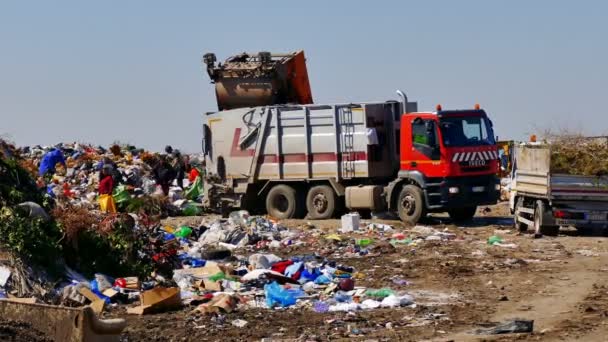 Zrenjanin Servië 2019 Verwijdering Van Vuilnis Stortplaats Van Stad Mensen — Stockvideo