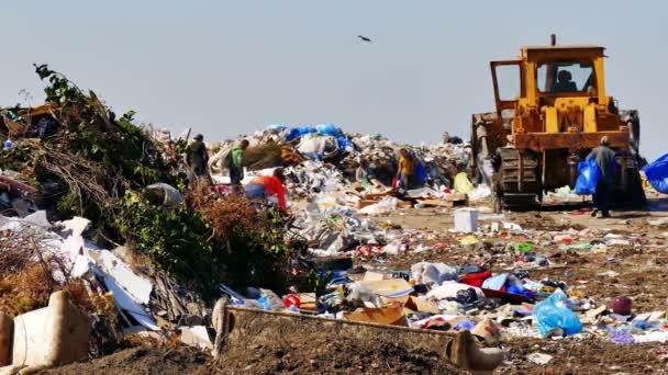 Zrenjanin Serbia 2019 Disposal Garbage City Landfill People Who Rummage — стоковое видео