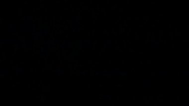 Gökyüzünde Gerçek Şimşek / Gece gökyüzü şimşek parıltısı ile dolu