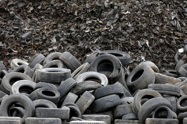 Tire Recycling Plant / Pile of tires prepared for recycling at the factory