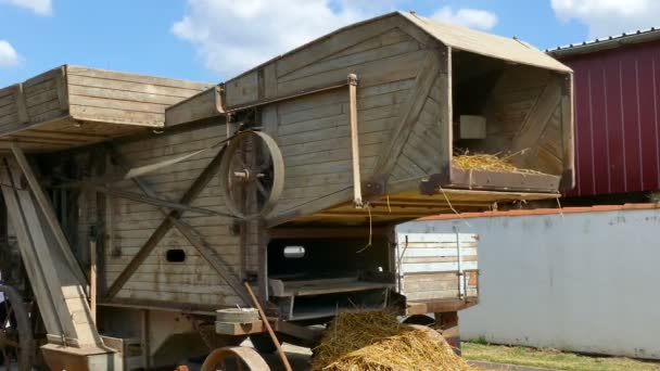 老式小麦推子 如何在19世纪末脱粒小麦 蒸汽机用皮带驱动脱粒机 — 图库视频影像