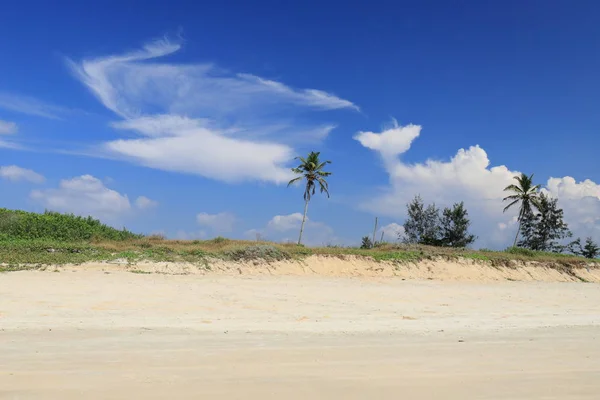 Hindistan, Güney Goa, Sernabatim beach. Sıcak okyanus, temiz, ince kum, palmiye ağaçları ve restoranlar, güzel günbatımı ve eğlence bol.