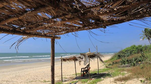 Hindistan, Güney Goa, Sernabatim beach. Sıcak okyanus, temiz, ince kum, palmiye ağaçları ve restoranlar, güzel günbatımı ve eğlence bol.