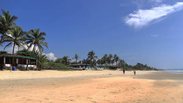 Hindistan, Güney Goa, Sernabatim beach. Sıcak okyanus, temiz, ince kum, palmiye ağaçları ve restoranlar, güzel günbatımı ve eğlence bol.