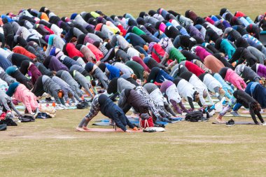 Atlanta, Ga, Amerika Birleşik Devletleri - 8 Nisan 2018: onlar Piedmont Park büyük grup yoga sınıfında 8 Nisan 2018 üzerinde Atlanta, Ga içinde yer almak gibi düzinelerce insan aşağı doğru bakan köpek poz yapmak.